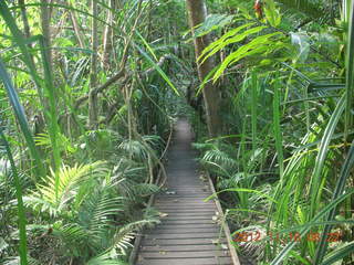 Cairns, Australia run - Cairns Botanical Garden - boardwalk