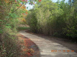 Cairns, Australia run