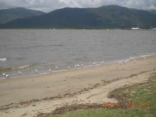 147 83g. Cairns, Australia - beach