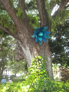 117 83h. Jeremy C photo - Cairns, Australia, lanterns in trees