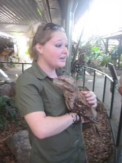 127 83h. Jeremy C photo - Cairns, Australia, casino ZOOm - frogmouth feeding