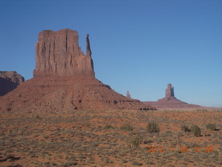 Monument Valley tour - tree