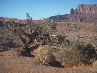 72 83q. Monument Valley tour