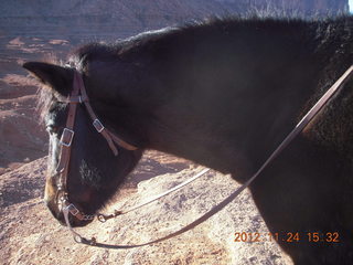 98 83q. Monument Valley tour - horse at John Ford Point