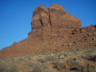 Monument Valley tour - shrubs