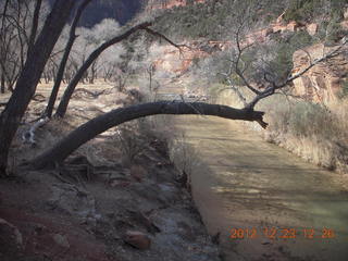 Zion National Park -  Virgin River - Gokce