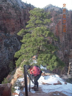 1932 84p. Zion National Park - Angels Landing hike - Adam using chains