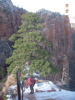 1935 84p. Zion National Park - Angels Landing hike - Adam using chains