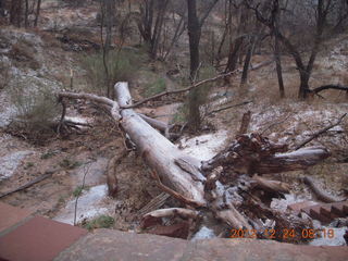 17 84q. Zion National Park - cloudy, foggy Observation Point hike