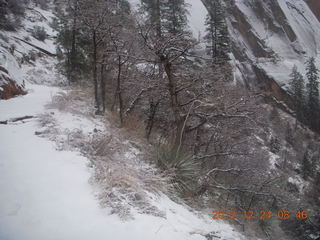 48 84q. Zion National Park - cloudy, foggy Observation Point hike