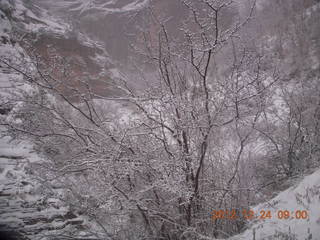 61 84q. Zion National Park - cloudy, foggy Observation Point hike