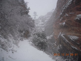 64 84q. Zion National Park - cloudy, foggy Observation Point hike