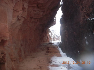 81 84q. Zion National Park - cloudy, foggy Observation Point hike - Echo Canyon entrance