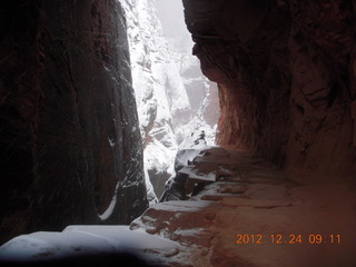 85 84q. Zion National Park - cloudy, foggy Observation Point hike - Echo Canyon entrance