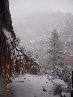 86 84q. Zion National Park - cloudy, foggy Observation Point hike