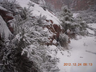 88 84q. Zion National Park - cloudy, foggy Observation Point hike