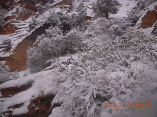 95 84q. Zion National Park - cloudy, foggy Observation Point hike