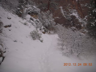 101 84q. Zion National Park - cloudy, foggy Observation Point hike