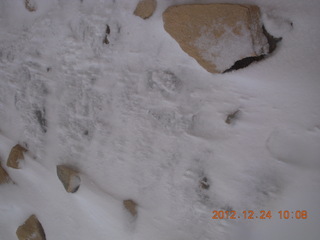 106 84q. Zion National Park - cloudy, foggy Observation Point hike - windblown snow