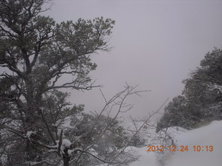 108 84q. Zion National Park - cloudy, foggy Observation Point hike