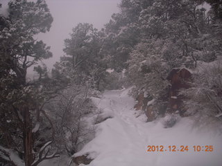 115 84q. Zion National Park - cloudy, foggy Observation Point hike