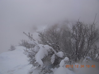 125 84q. Zion National Park - cloudy, foggy Observation Point hike