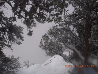 155 84q. Zion National Park - cloudy, foggy Observation Point hike