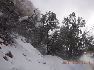 159 84q. Zion National Park - cloudy, foggy Observation Point hike