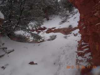 174 84q. Zion National Park - cloudy, foggy Observation Point hike