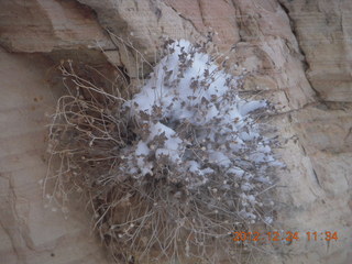 179 84q. Zion National Park - cloudy, foggy Observation Point hike