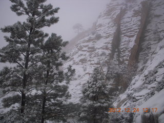 209 84q. Zion National Park - cloudy, foggy Observation Point hike