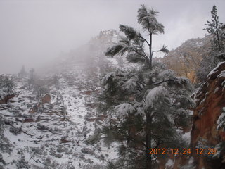 218 84q. Zion National Park - cloudy, foggy Observation Point hike