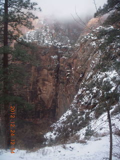 239 84q. Zion National Park - cloudy, foggy Observation Point hike