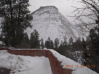 291 84q. Zion National Park - drive - Checkerboard Mesa