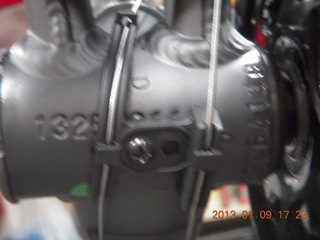 new Trek Verve serial number