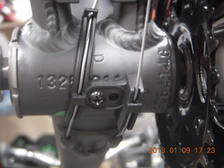 new Trek Verve serial number