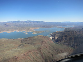 Sean G grapevine pictures