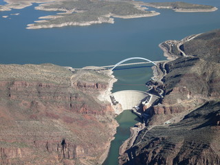 Sean G grapevine pictures