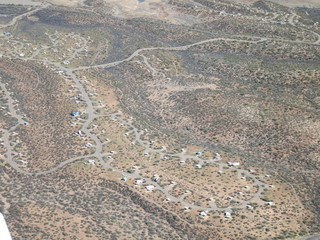 Sean G grapevine pictures