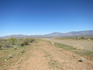 Sean G grapevine pictures