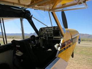 Sean G grapevine pictures