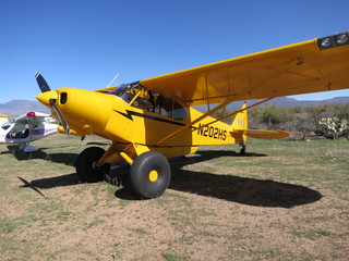 Sean G grapevine pictures - Grapevine airplanes