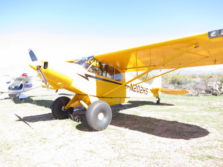 Sean G grapevine pictures - Grapevine airplanes