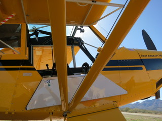 Sean G grapevine pictures - Grapevine