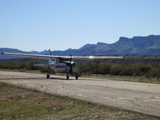 Sean G grapevine pictures - Grapevine