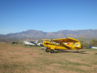 Sean G grapevine pictures - Grapevine