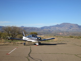 Sean G grapevine pictures - Grapevine - N8483R