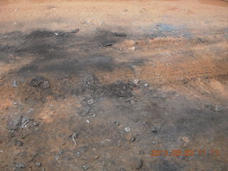 Sedona - Pink Jeep tour - pink javalenas