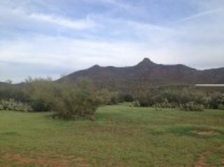 Theresa Q's (small) pictures - Grapevine