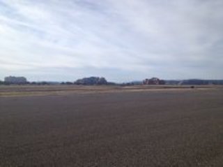 Theresa Q's (small) pictures - Grapevine